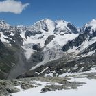 Bernina