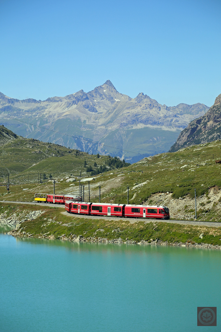 Bernina