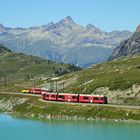 Bernina