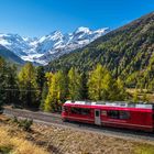 Bernina-Bahn bei der Montebello-Kurve