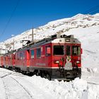 Bernina Express