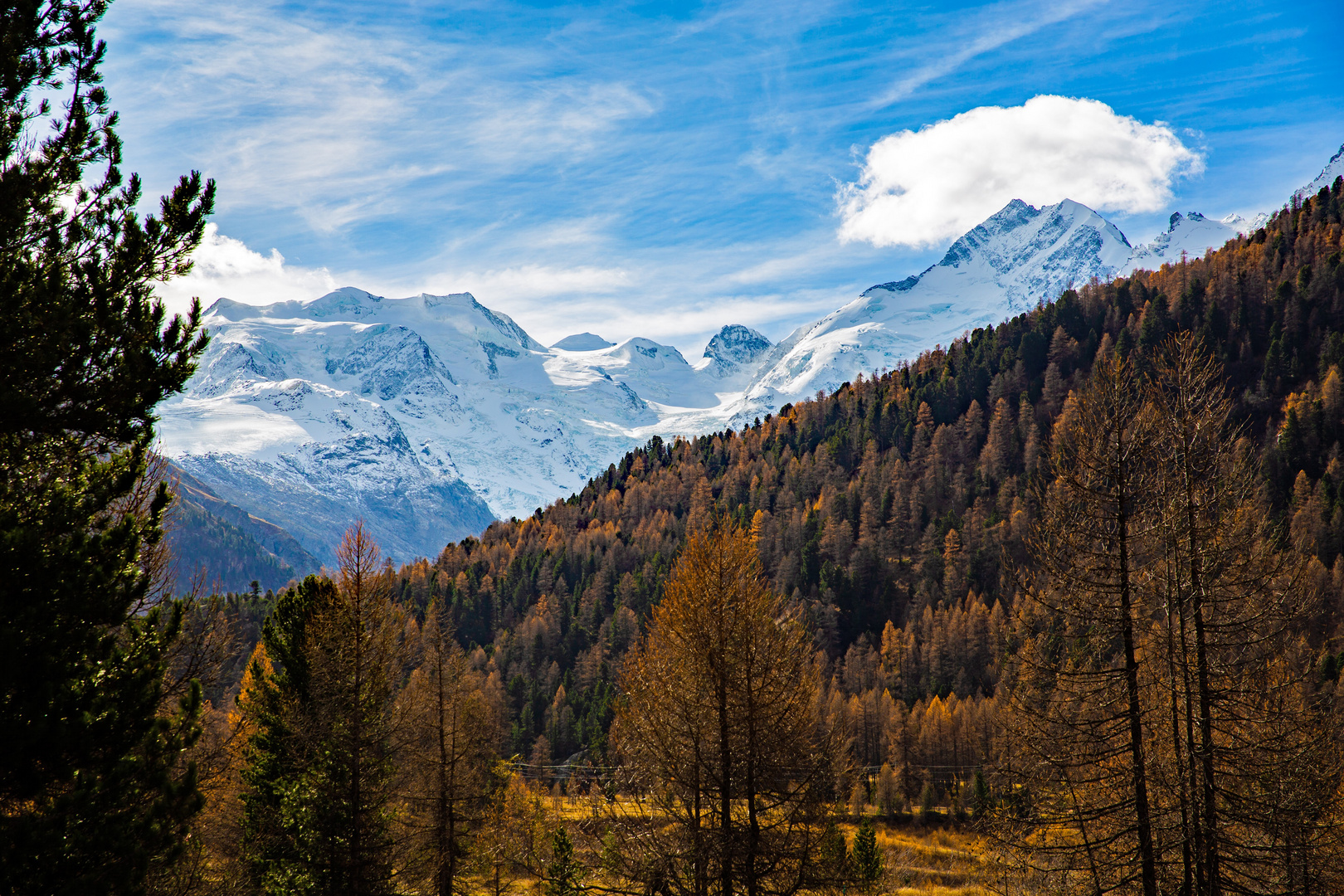 Bernina Gruppe  im Herbst