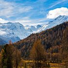 Bernina Gruppe  im Herbst