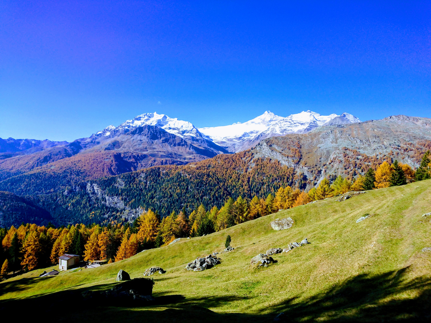 Bernina Gruppe  mit sicht auf Piz Palü 