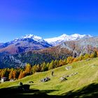 Bernina Gruppe  mit sicht auf Piz Palü 