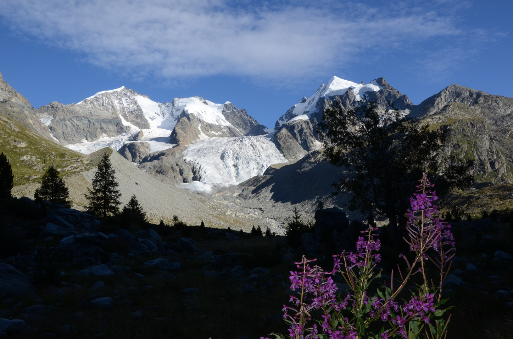 Bernina mit Bianco Grat