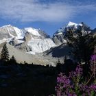Bernina mit Bianco Grat