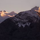 Bernina-Panorama