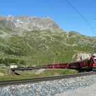 Bernina...05