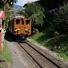 Berninabahn / RhB  Ge 4/4 81 beim Einfahrtsignal zum Depot Chaulin der Museumsbahn Blonay Chamby.