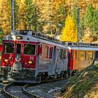  Berninaexpress Pontresina 