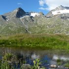 Berninapass (2253 m)...04