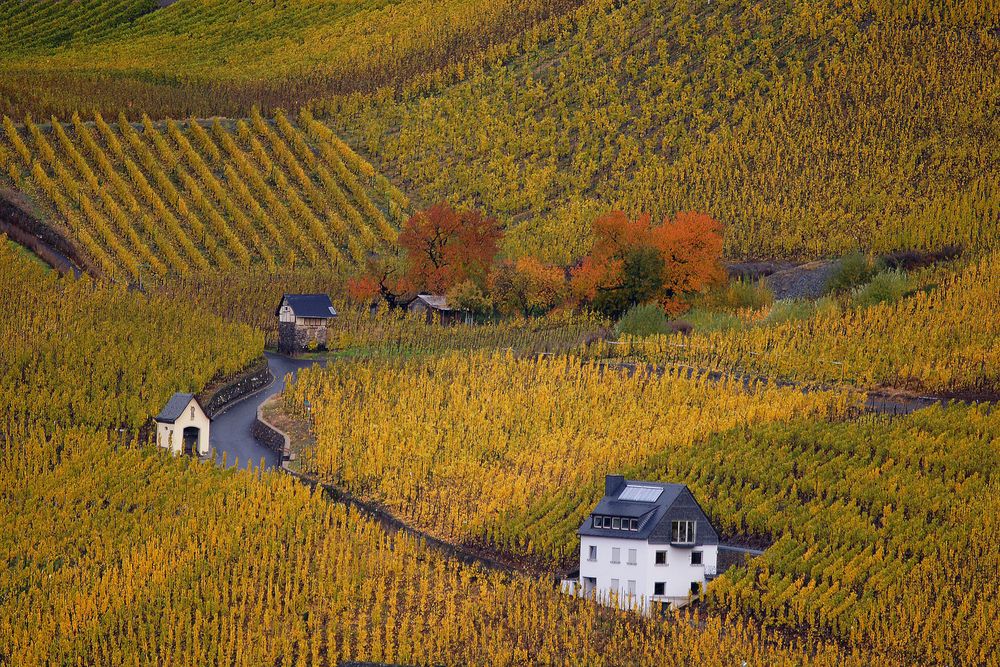 BERNKASTEL de Chantal Togni 