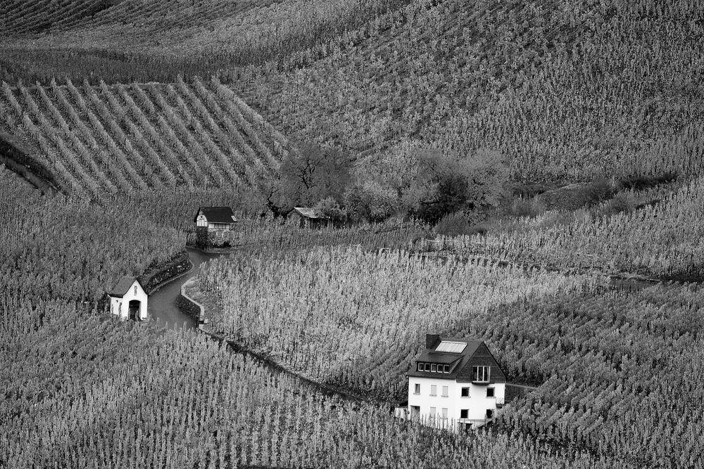 Bernkastel di Chantal Togni 