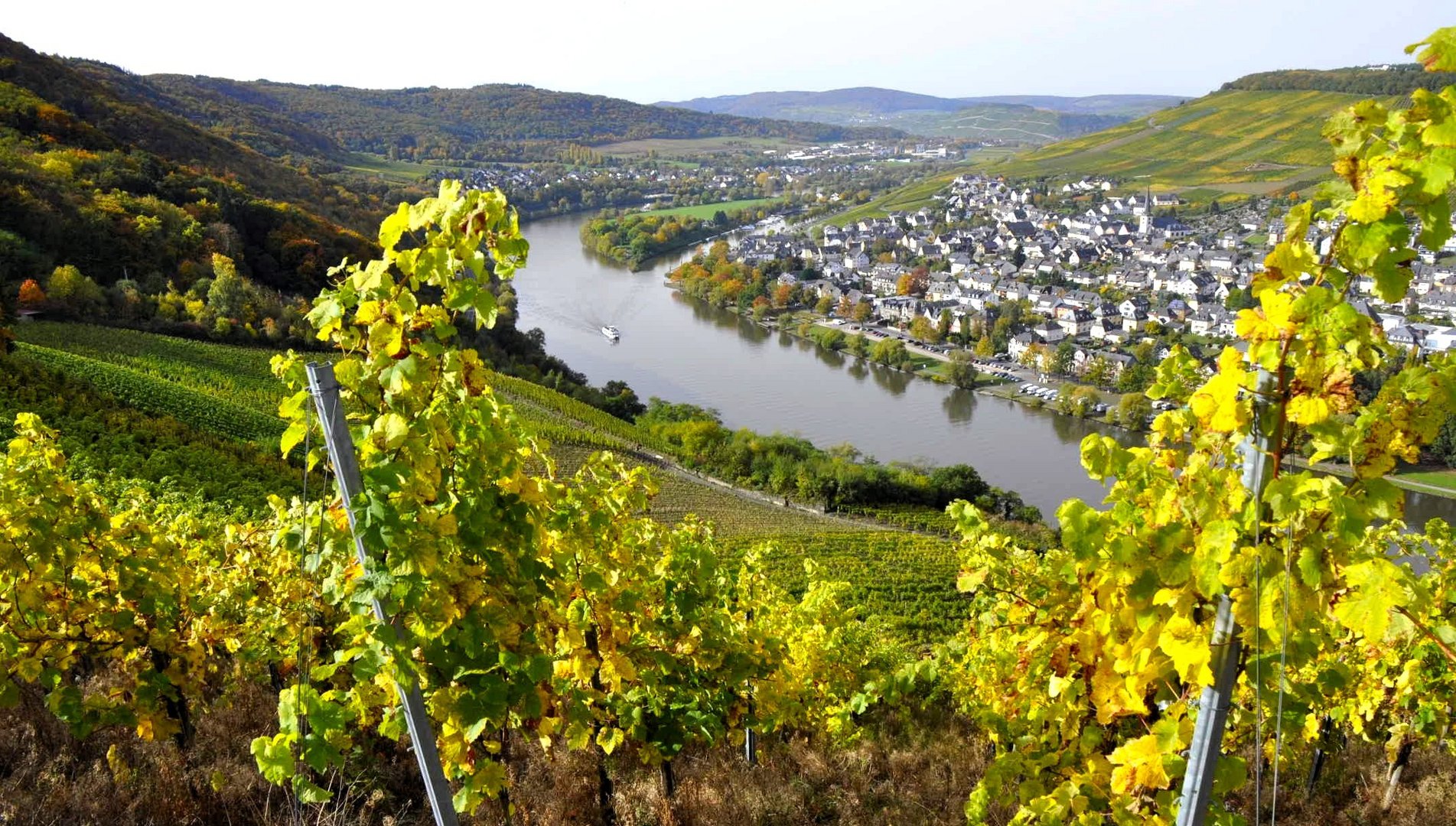 Bernkastel- Kues an der schönen Donau