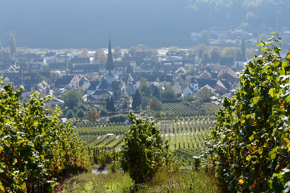 Bernkastel-Kues in der Morgensonne