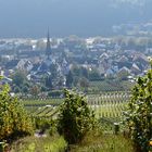 Bernkastel-Kues in der Morgensonne