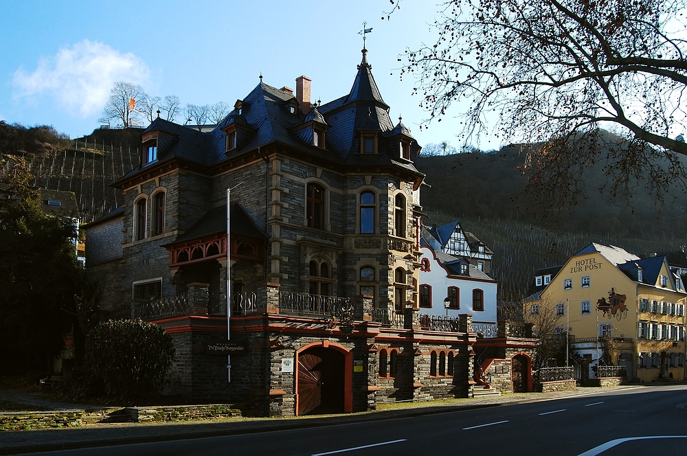 Bernkastel-Kues, Weingut