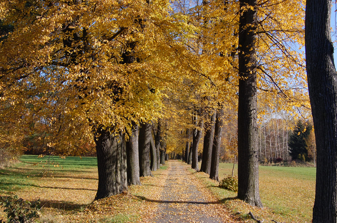 Bernsdorfer Herbstansicht