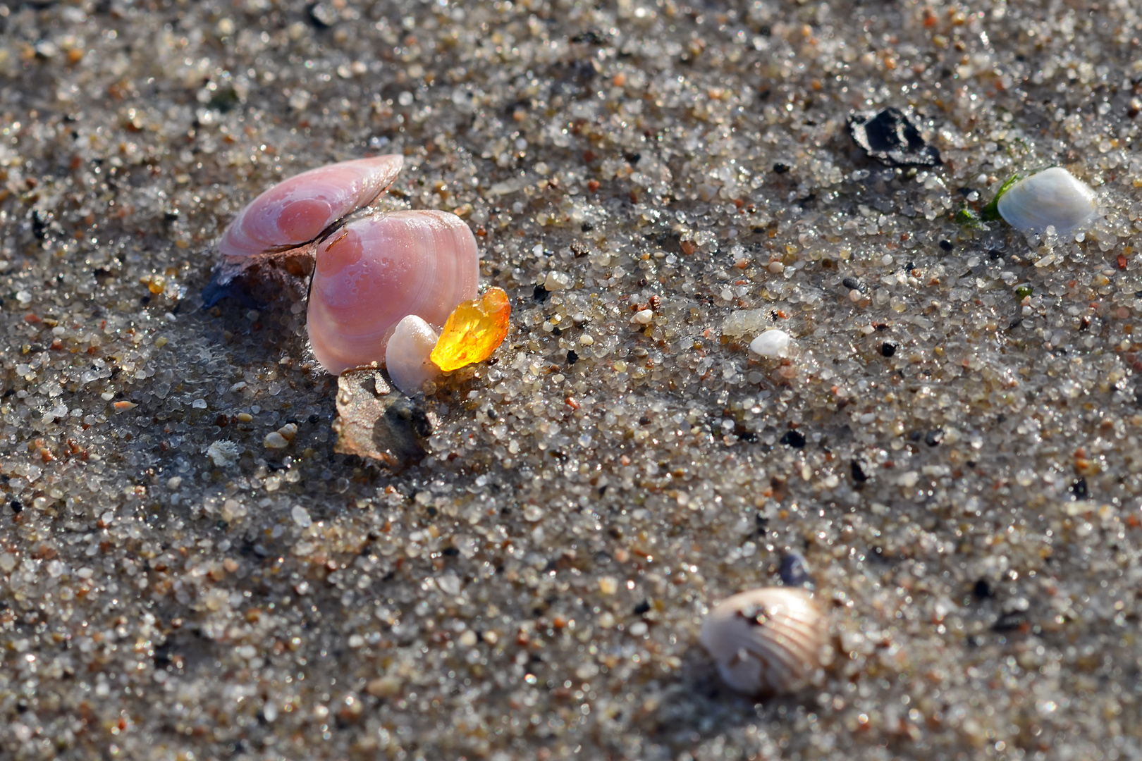 Bernstein am Strand V