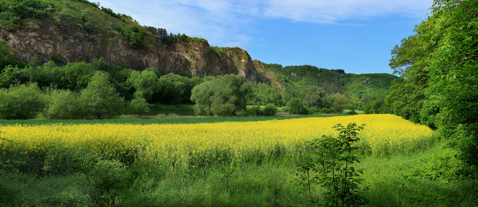 Berounka