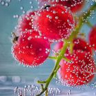 berries_2