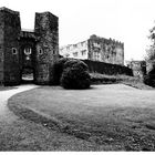 Berry Pomeroy Castle