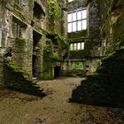 Berry Pomeroy Castle