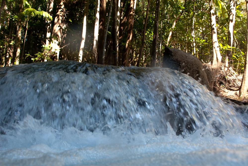 Berry Spring Falls