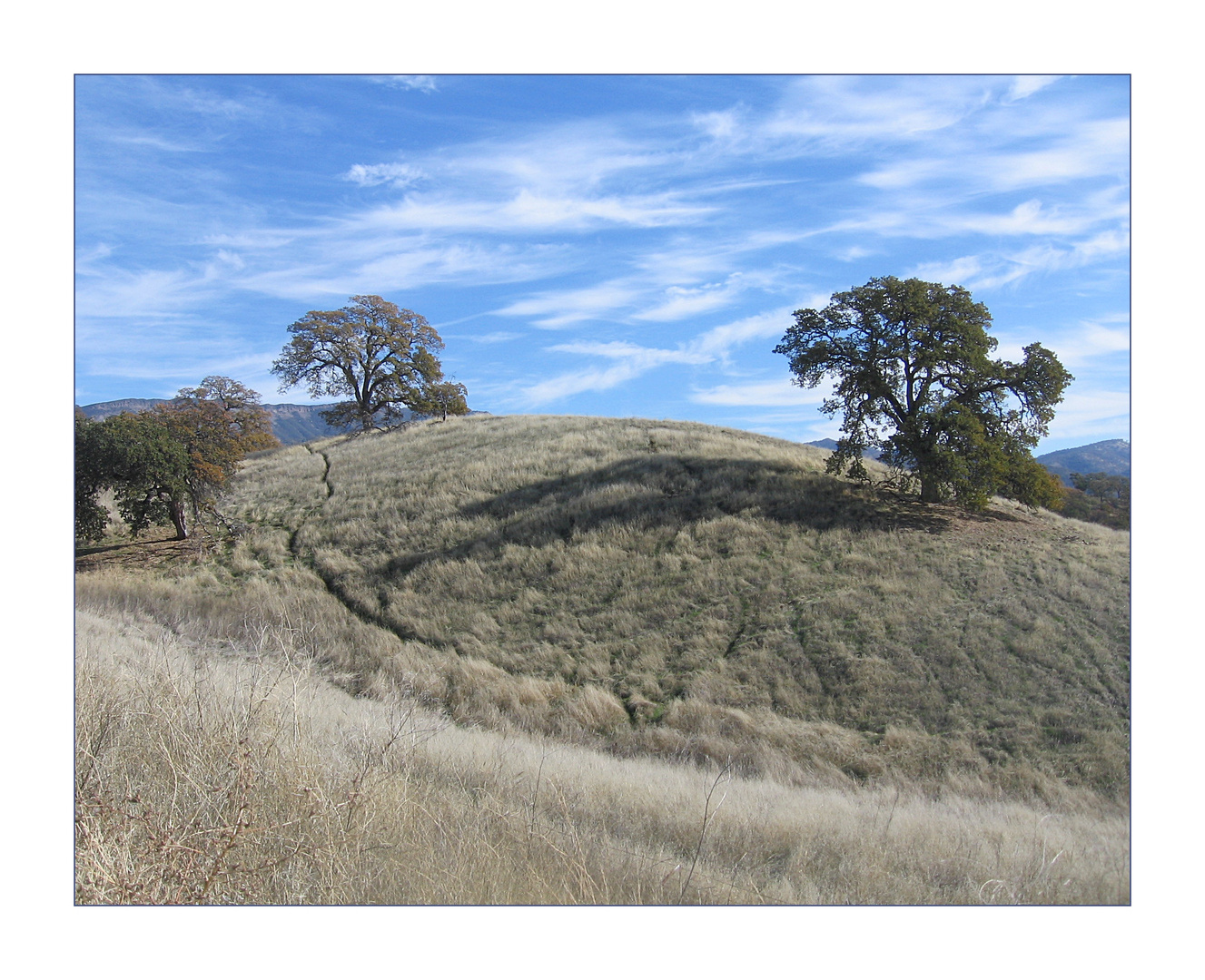 Berryessa Lower Lake