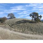 Berryessa Lower Lake