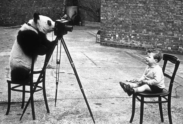 BERT HARDY