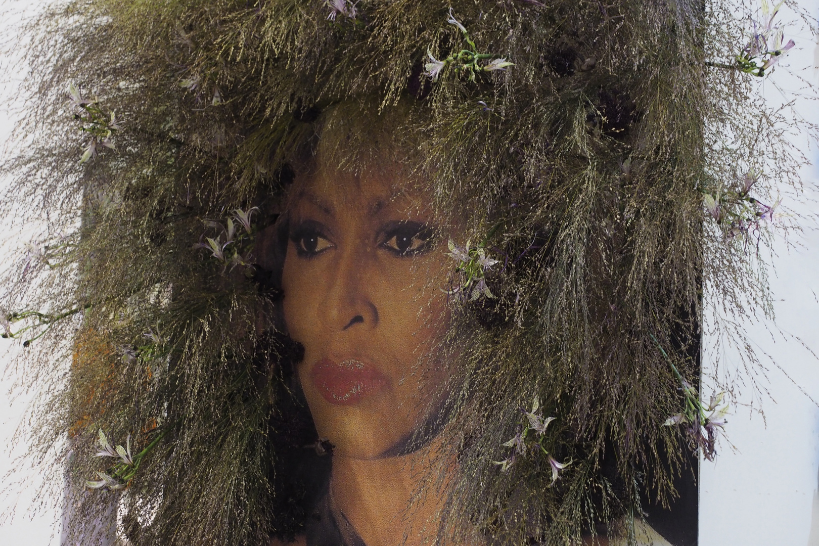 Berühmt Foto & Bild studio, indoor, portrait Bilder auf