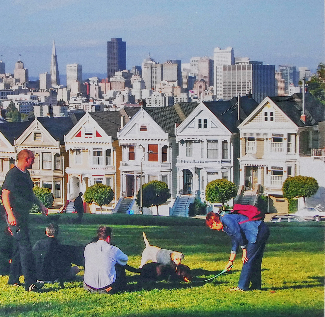 Berühmter Aussichtshügel in San Franzisco