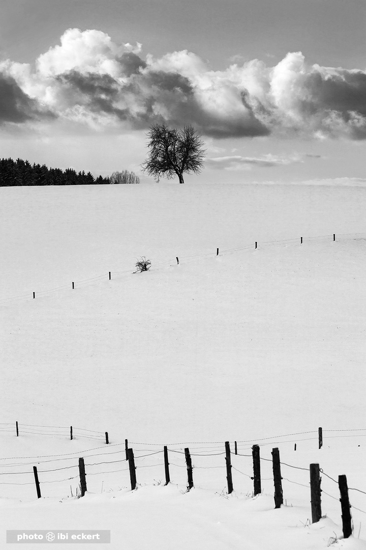 Berühren der Wolken 