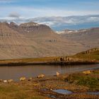 Berufjörður (Ostisland) III