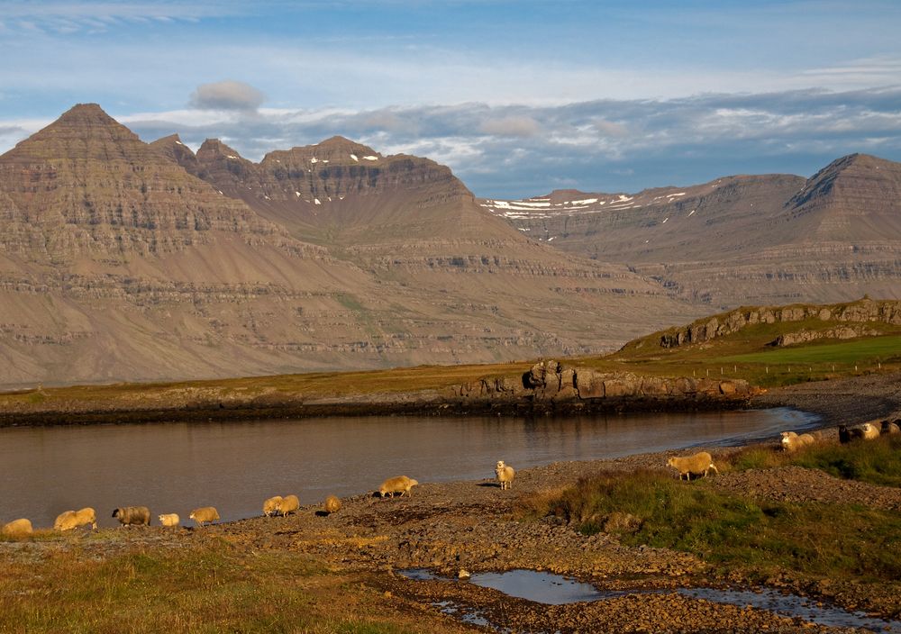 Berufjörður (Ostisland) III