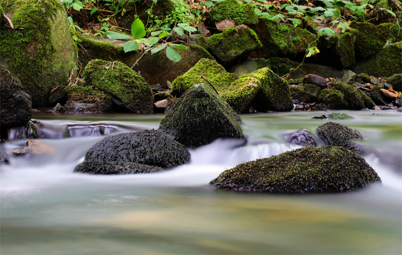 Beruhigend.... Der Bach im Höllengrund