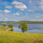 Beruhigende Seenlandschaft