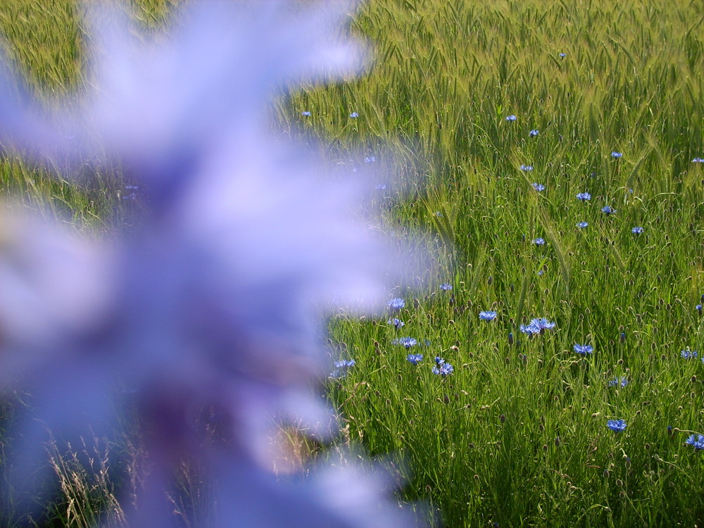 Beruhigendes Blau....