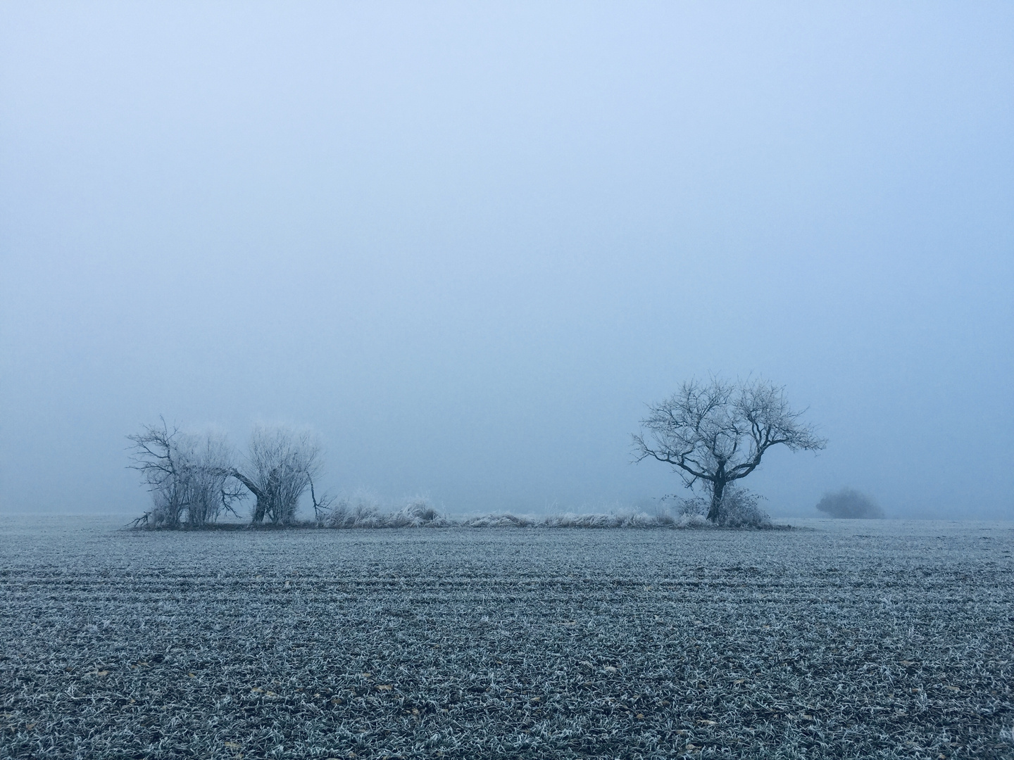 Beruser Tafeltour im Nebel