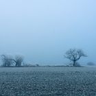 Beruser Tafeltour im Nebel