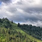 Berwang .... Rastkopf