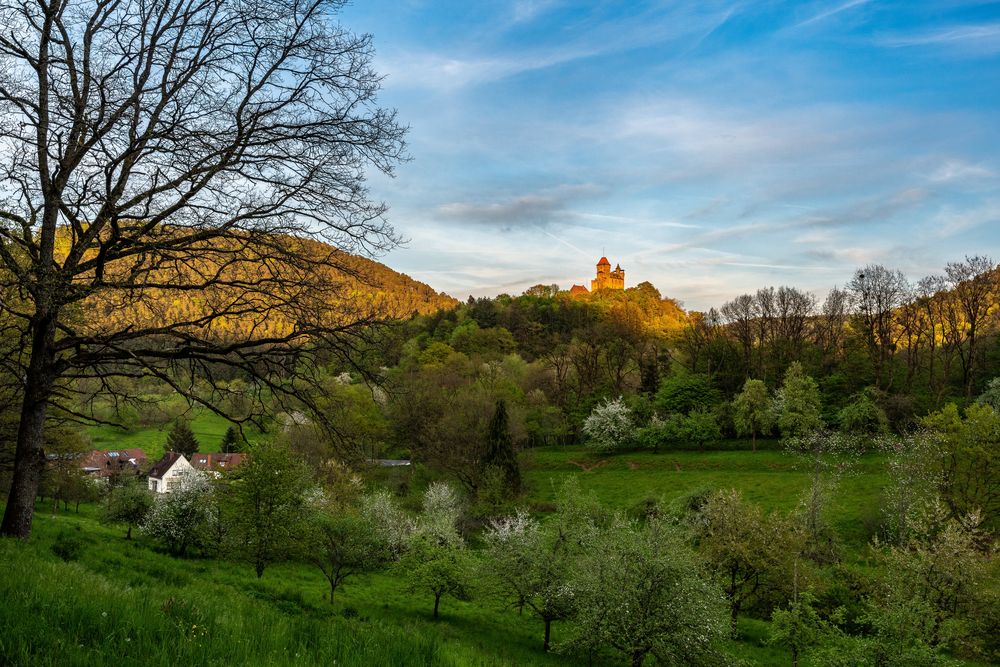 Berwartstein im Abendlicht