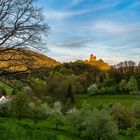 Berwartstein im Abendlicht