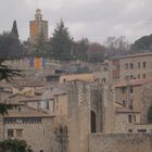 BESALU