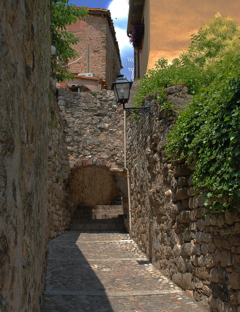 Besalú V