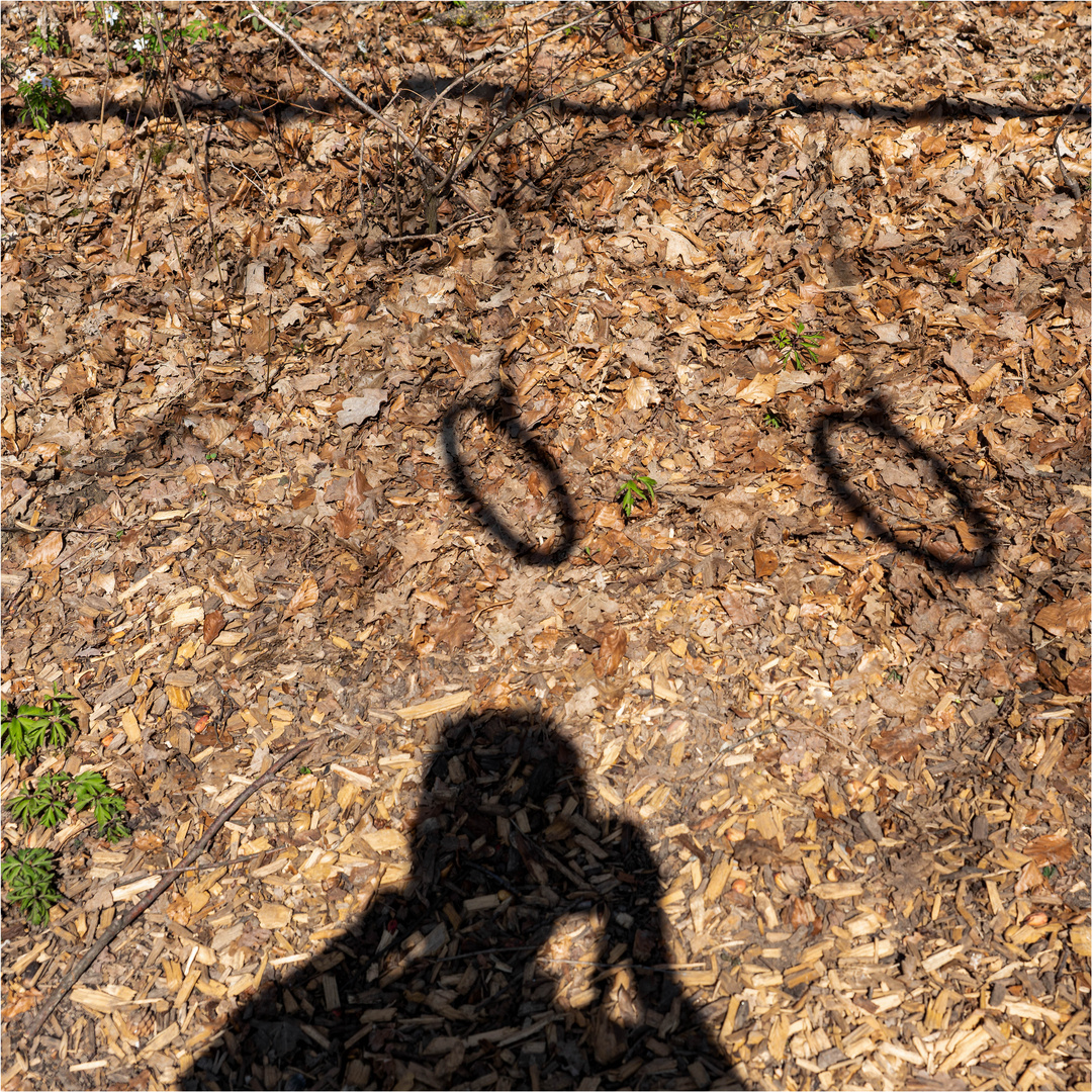 Beschatteter Fotograf unter den Ringen