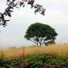 beschauliche Herbstlandschaft