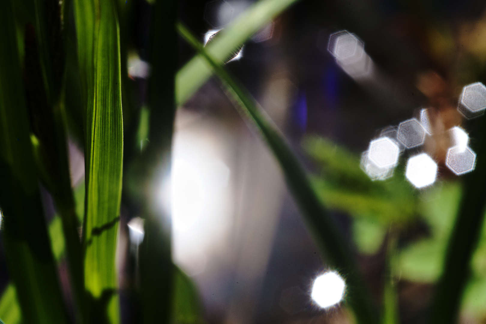 Beschauliche Minuten am Gartenteich